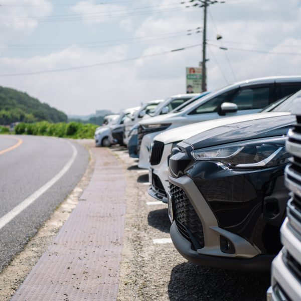 _YUG3254.jpg のコピー